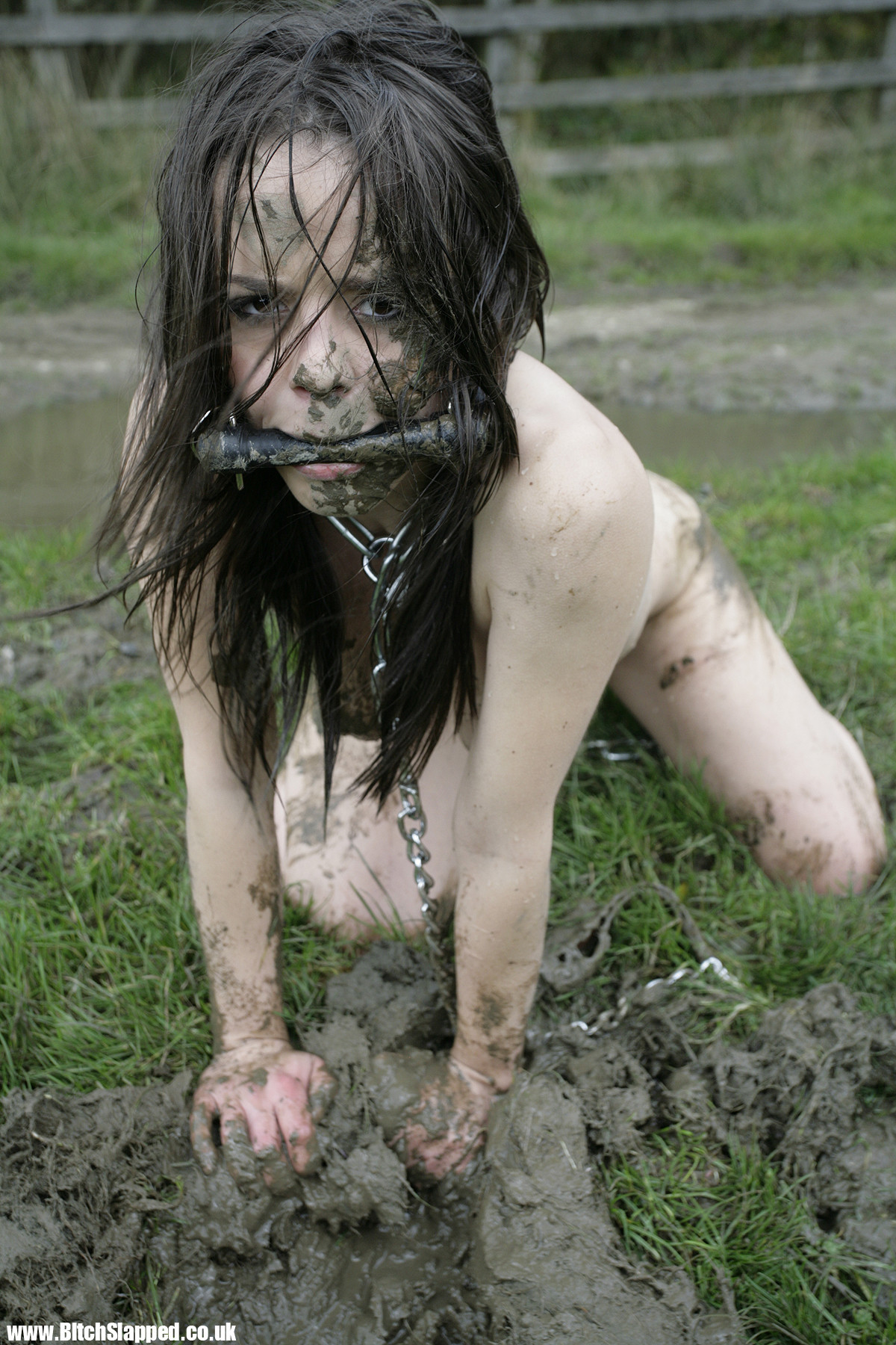 Bdsmlr 10615493 XRDTgl1xIV