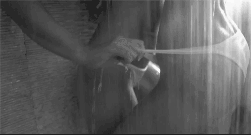 Gif by catfightfan