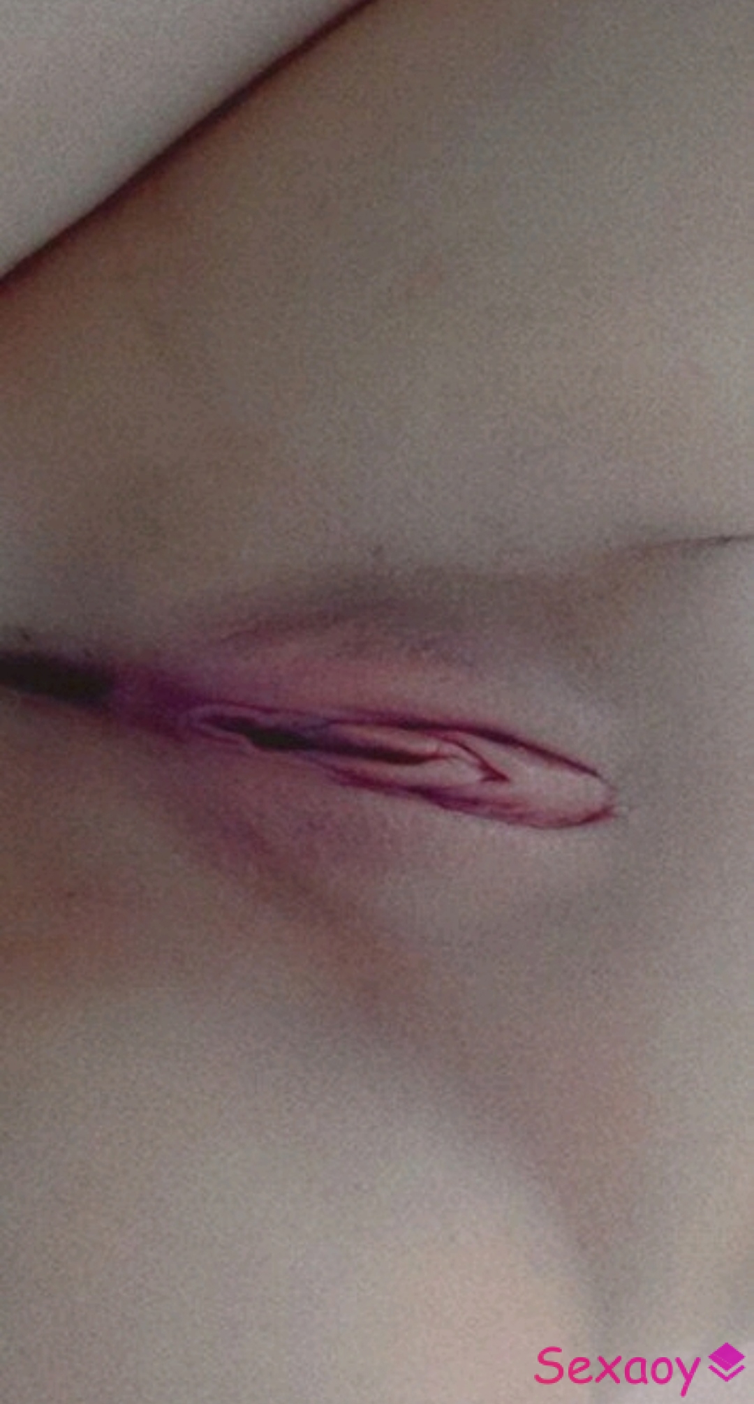 IMG 20230423 061729