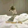 محترم.الا.ربع