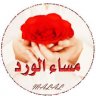 medo_medo