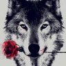 الديب🐺🔥