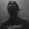 HazemElmasry