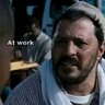 الصقر شاهين