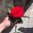 حموده عساف